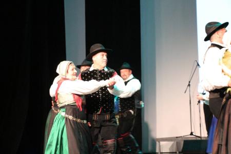 Ples in glasba izpod kamniških planin v izvedbi Folklorne skupine Kamnik in njihovih prijateljev  (4)